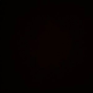 Meet your Posher, Stella